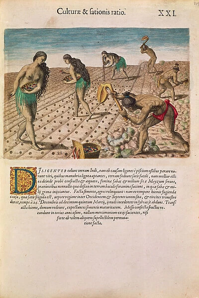 Florida Indians planting maize, from Brevis Narratio... published by Theodore de Bry