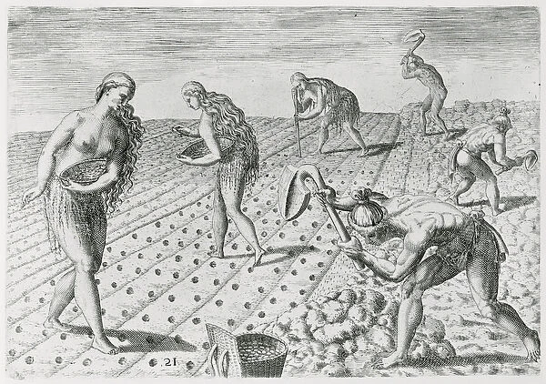 Florida Indians planting maize, from Grandes Voyages, 1591, written