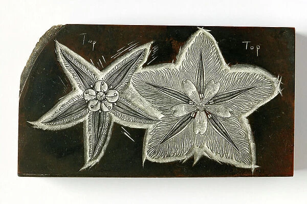 Flower (engraved wooden block)