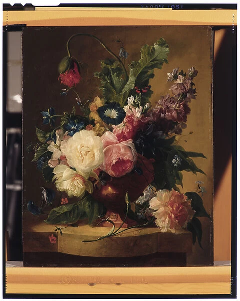 Flower Still-life, 1740 (oil on canvas)