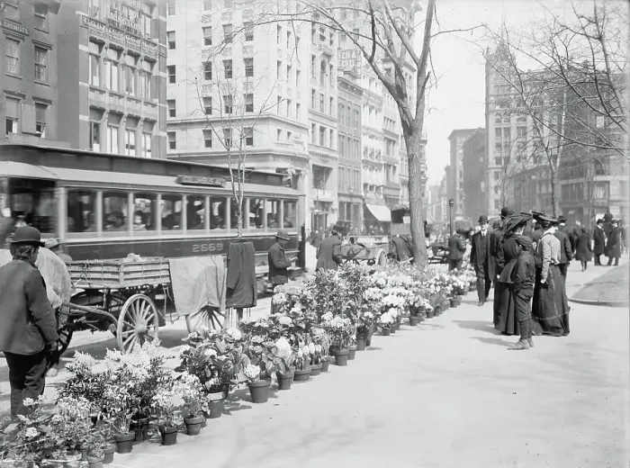 Framed Print : Flower Vendors, Easter Display, New York City, USA, c. 1904 (b  /  w photo)