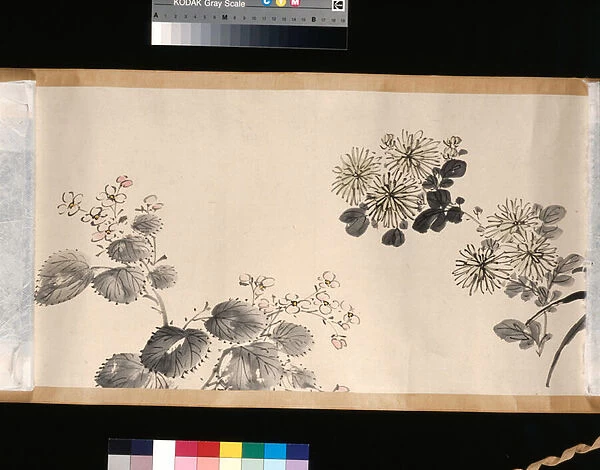 Flowering plants of the four seasons, 1842