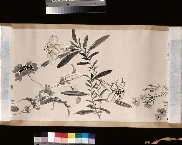 Flowering plants of the four seasons, 1842