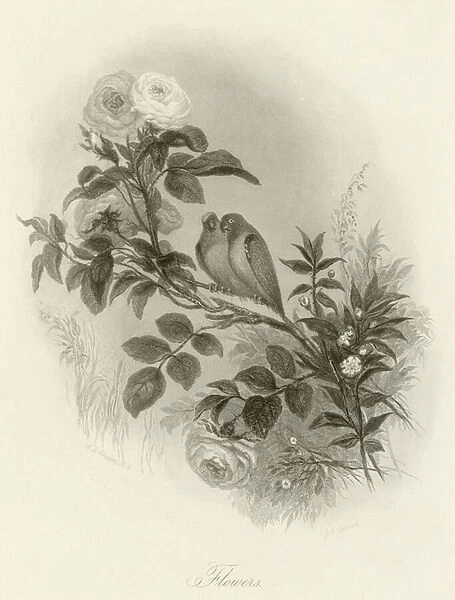 Flowers (engraving)