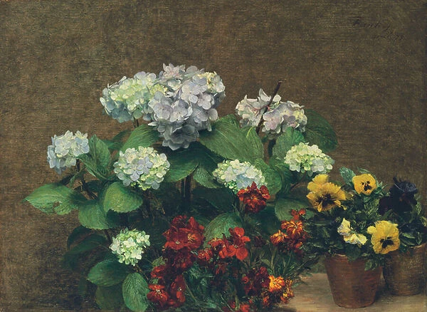 Flowers (Hydrangea, Wallflowers, Two Pots of Pansies); Fleurs (Hortensias, giroflees