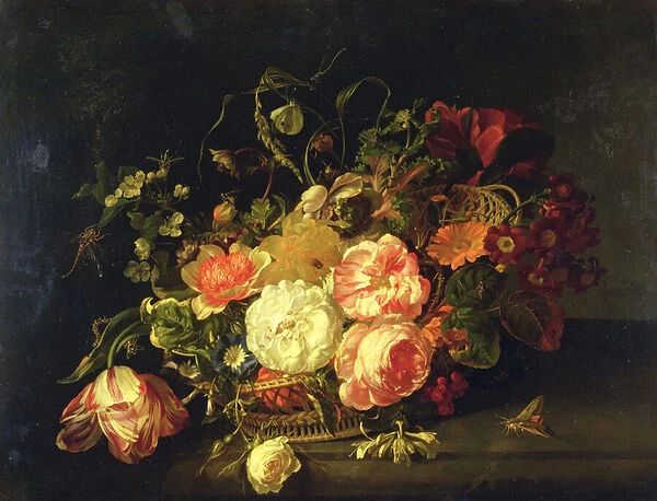 Flowers and Insects, 1711 (oil on panel)