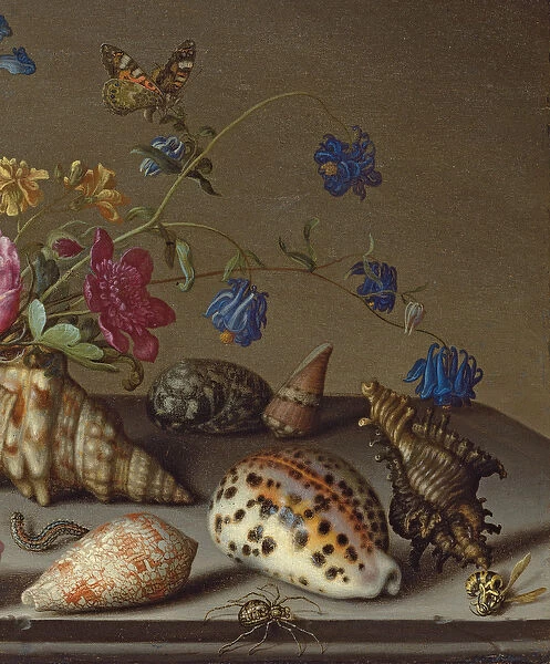 Flowers, shells and insects on a stone ledge (oil on panel) (detail)