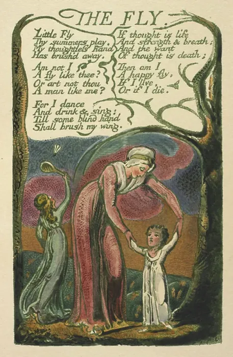 Framed Print : The fly. BL3281215 The fly; British Library, London, UK; (add.info.