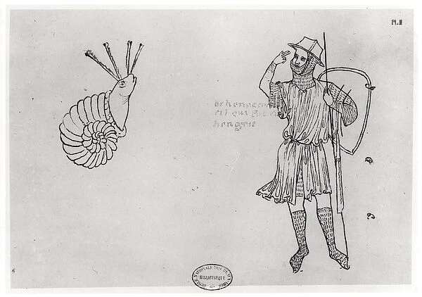 Fol. 2 Snail and Hungarian soldier (facsimile copy) (pen & ink on paper) (b  /  w photo)