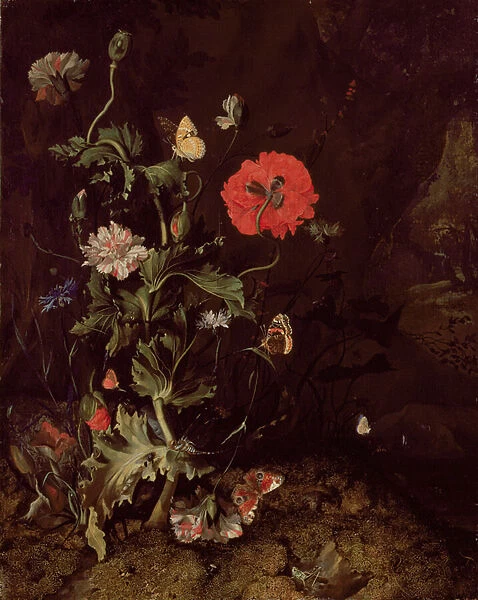Forest Floor Still Life with Flowers and Butterflies (oil on panel)