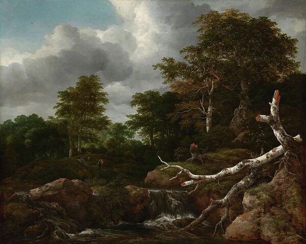 Forest Scene, c. 1655 (oil on canvas)