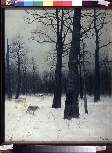 Foret en hiver (Forest in Winter). Arbres noirs et nus dans la neige, avec un loup