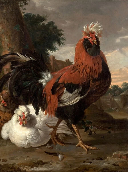 Fowl (oil on canvas)