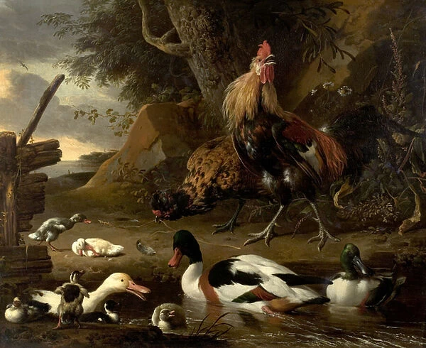 Two Fowls and Ducks on a Pond (oil on canvas)