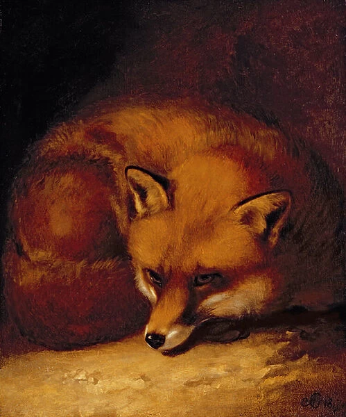 A Fox, 1817 (oil on panel)