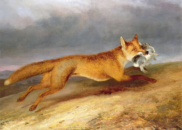 Fox making off with a Rabbit, 1841 (oil on canvas)