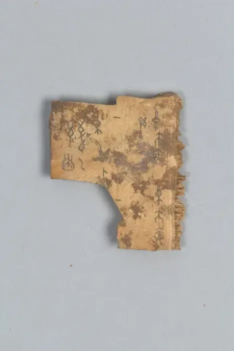 Framed Print : Fragment of Divining Bone (shell)