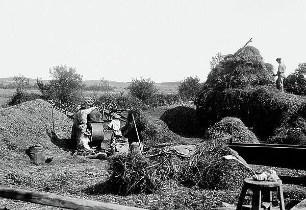 France, Brittany, Ille-et-Vilaine (35), Saint-Lunaire: threshing in a field with peasants, 1903