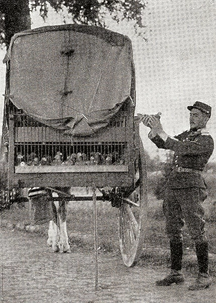 A French trooper releasing a pigeon with a message for headquarters during WWI, from The War Illustrated Album Deluxe, pub.1915