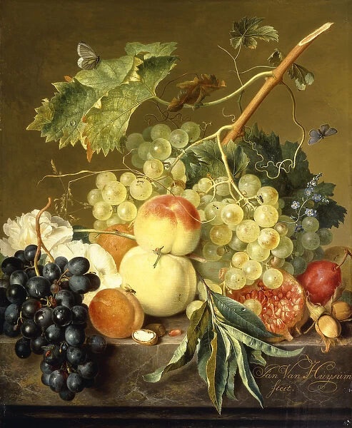 Fruit, Hazelnuts and Hollyhocks on a Marble Ledge, (oil on panel)