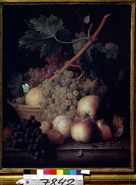 'Fruits'Nature morte de peches, raisins, poires et grenades avec des papillons et une guepe. Peinture de Jean Francois van Dael (1764-1840) 1808 Musee Pouchkine, Moscou