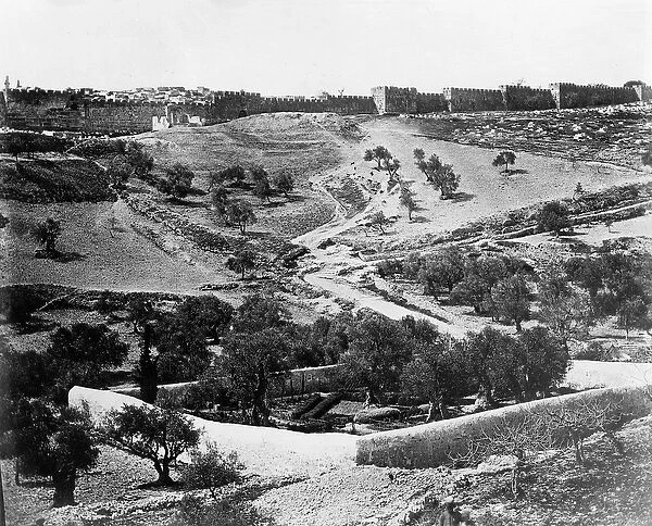 Garden of Gethsemane, 1857 (b  /  w photo)