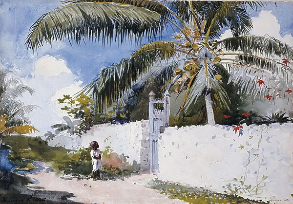A Garden in Nassau, 1885 (w  /  c, gouache & pencil on paper)