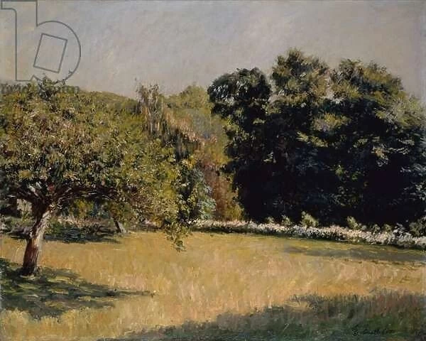 A Garden in Trouville, 1882 (oil on canvas)