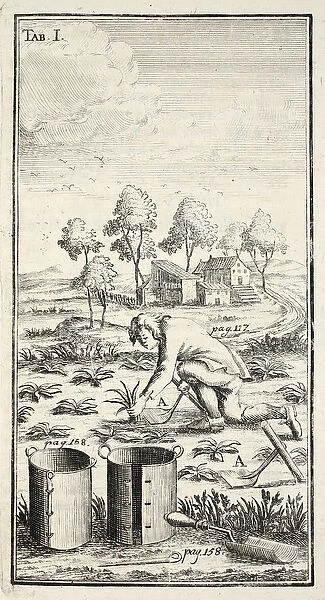Gardener Harvesting, pub. Erfurt in Thuringia, 1753-55 (engraving)