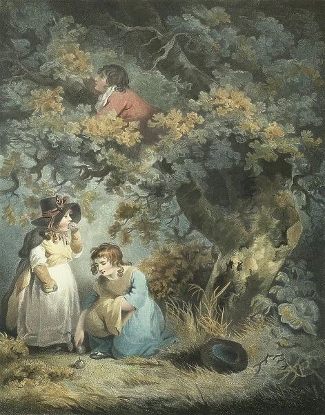 Gathering Fruit, engraved by R. M. Meadows, pub. by John Raphael Smith