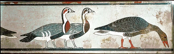 Geese, detail of a panel from the Mastaba of Itet, wife of Nefermaat