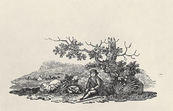A Gentleman beneath a Tree, from Land Birds, published 1797 (wood engraving)