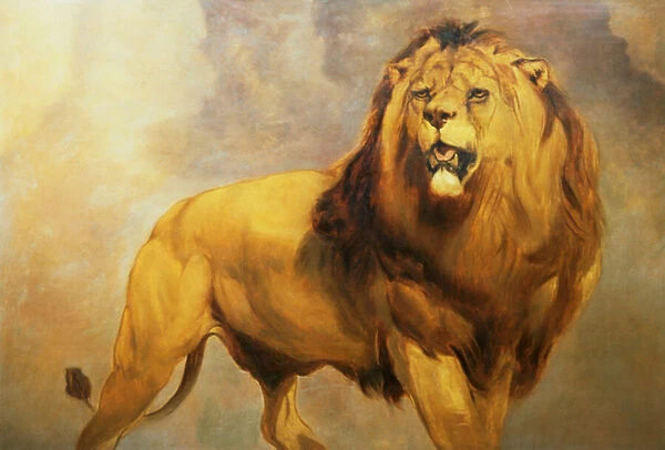 Lion. GG74994 Lion by Huggins, William (1820-84); 94x137 cm; Private Collection;