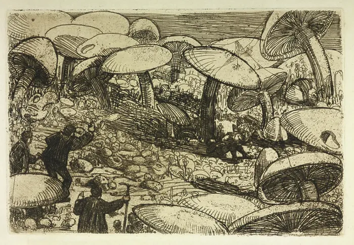 Framed Print : Giant toadstools