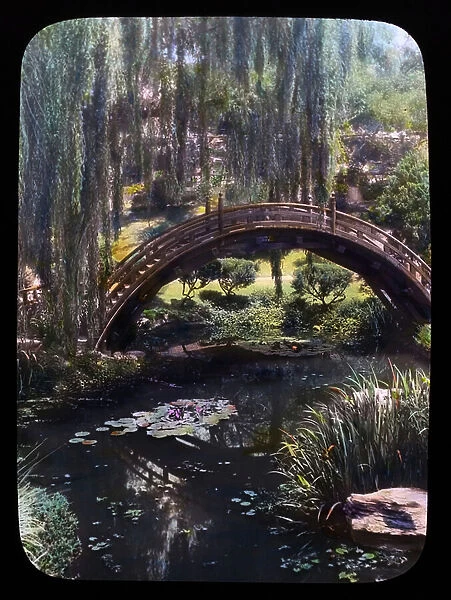 Glass lantern slide, (Hand coloured) of the Drum bridge in the Japanese garden at Henry Edwards Huntington House, San Marino, California