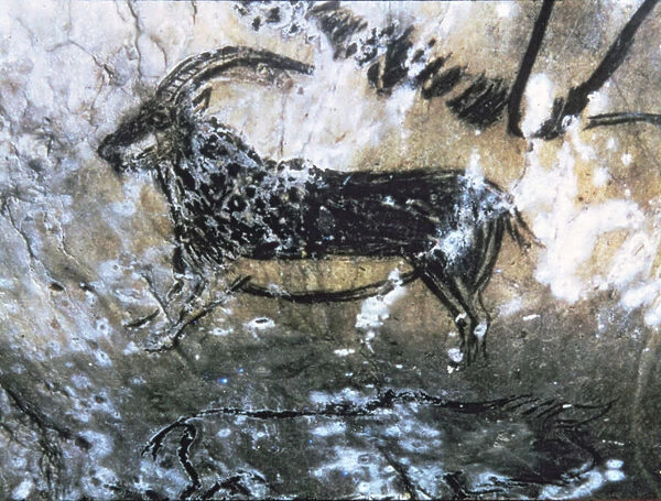 Goat or Chamois, rock painting in the Black Room, Magdalenian (cave painting)