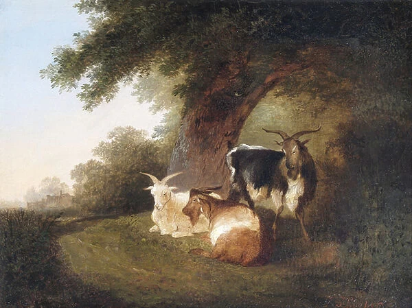 Three Goats in a Landscape, 1848 (oil on canvas)