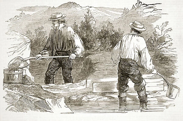 Gold-Washing at the Diggings, from The Illustrated London News