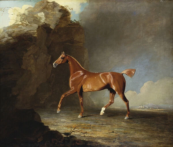 A Golden Chestnut Racehorse by a Rock Formation, 1800 (oil on canvas)