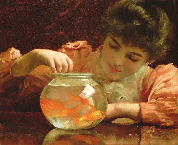 The Goldfish Bowl (oil on canvas)
