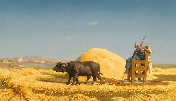 The Grain Threshers, Egypt, 1859 (oil on canvas)