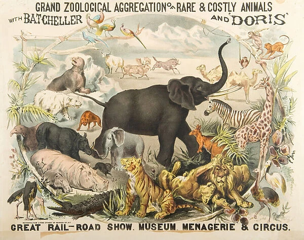 Grand Zoological Aggregation of Rare and Costly Animals with Batcheller and Doris