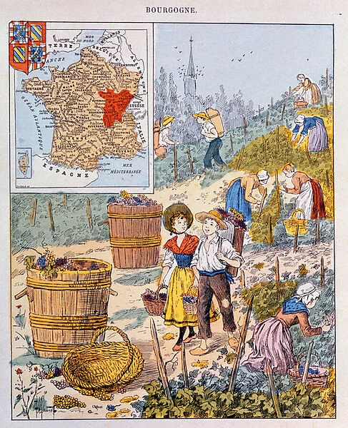 The Grape Harvest in Burgundy, illustration from a school textbook, c. 1910 (colour litho)