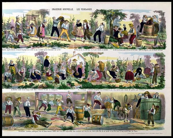 The Grape Harvest, Imagerie de Pont-a-Mousson (colour litho)