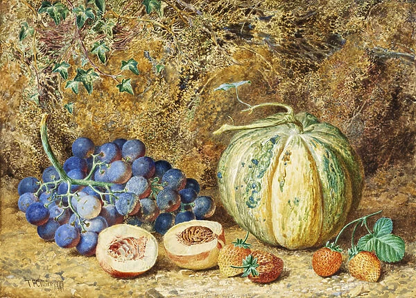 Grapes and Strawberries, 1877 (w  /  c on paper)