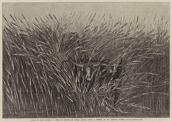 Grass of the Desert, a Scene of Travel in South Africa (engraving)