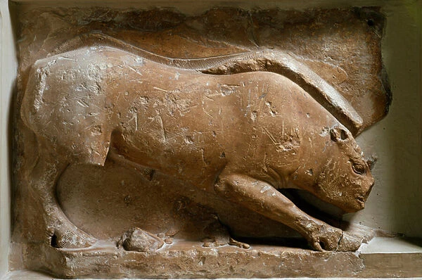 Greek art: the boar of Caledonia. Carved relief of the Tresor of Sicyone (or Sicyonians)