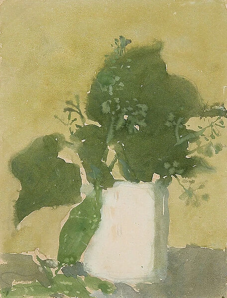 Green leaves in a white jug (w / c, gouache & pencil on paper)