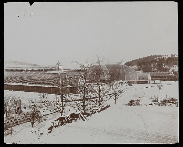 The greenhouses in the snow at the Helen Gould estate (late Jay Gould residence