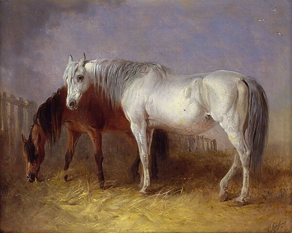 Grey and chestnut horses (oil on canvas)